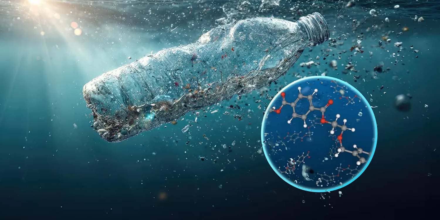 Bahaya Mikroplastik bagi Ekosistem Laut